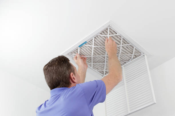 Best Dryer Vent Cleaning in Orangeburg, SC